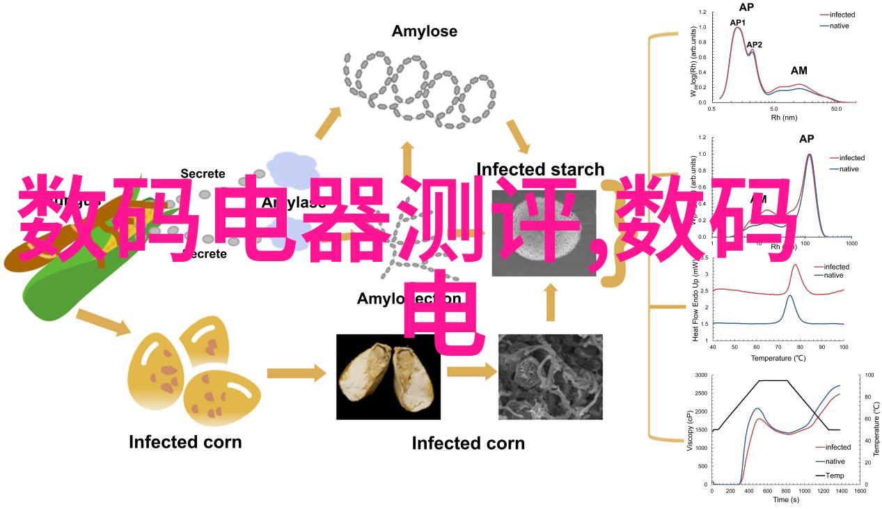 镜头下的智慧2022年大学生摄影盛宴