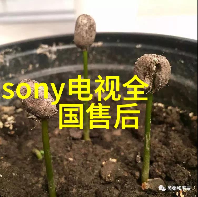 手机摄影技巧 - 42个手机摄影小技巧提升你的移动摄影技能