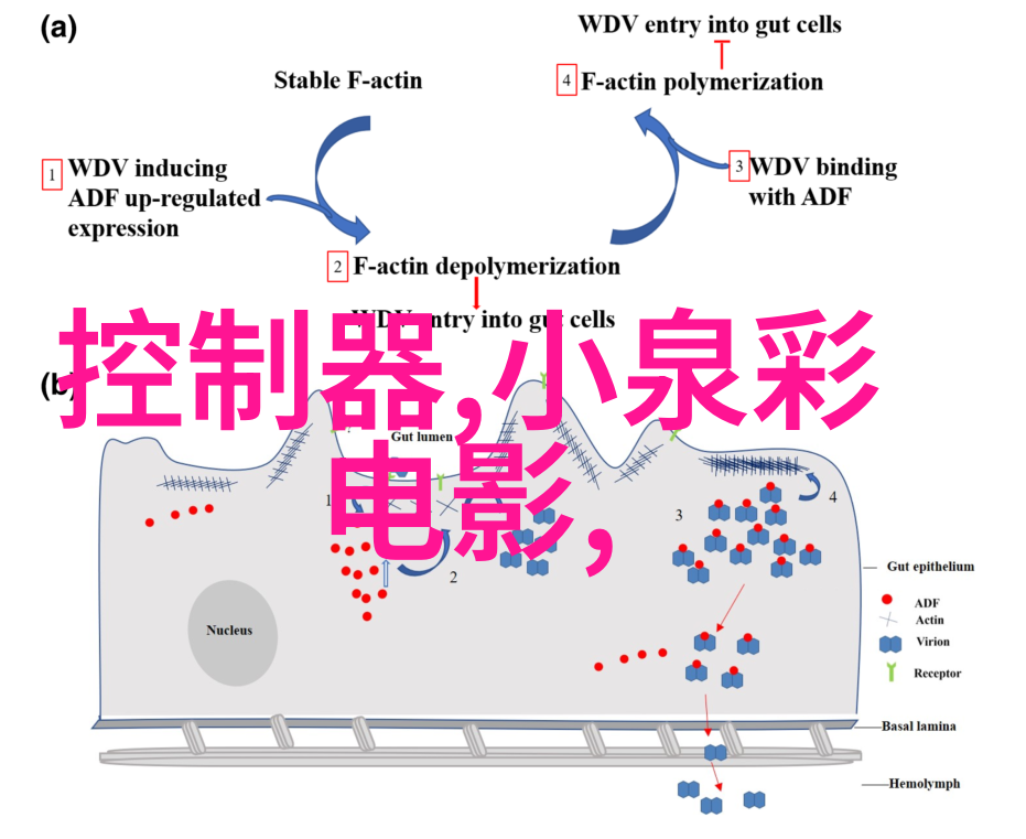 花语之恋绚烂的玫瑰故事