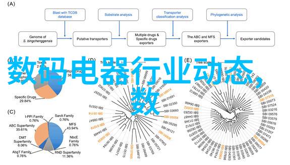 数字相机与胶卷相机哪个更能捕捉生活瞬间