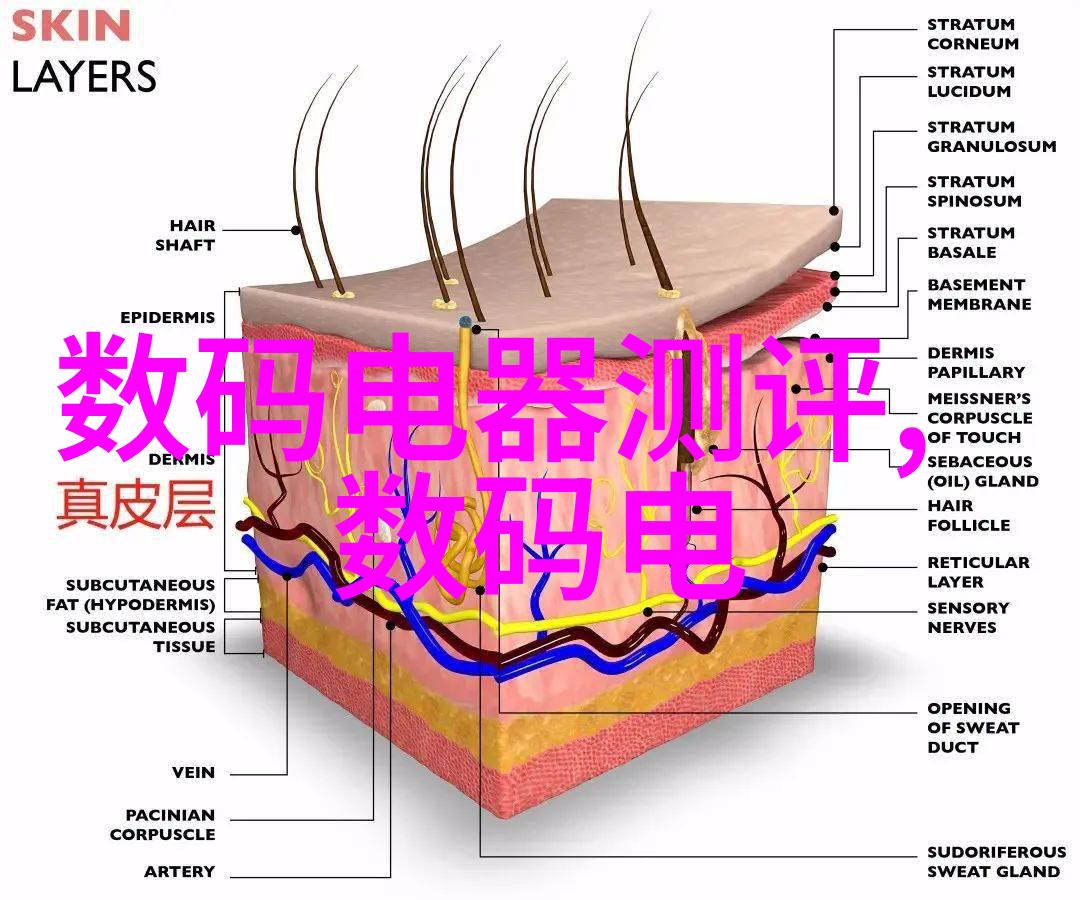 饭桌上的不慎一场意外的公H视频录制