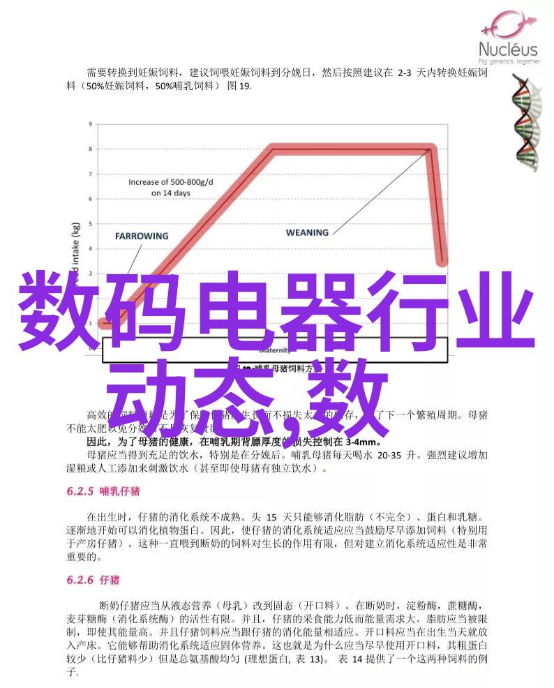 夏日绽放的香气揭秘熏衣草花语背后的故事