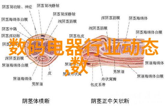 二手实验室设备 - 旧机新用探索二手实验室设备的市场潜力与挑战