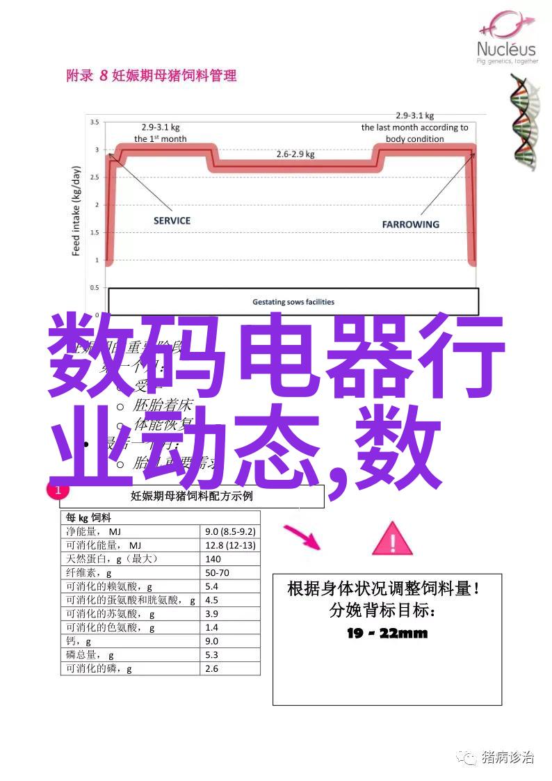 智慧之轮未来的交通安全新篇章