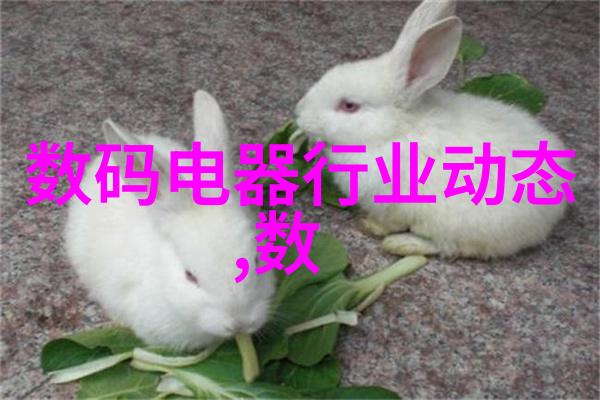 社会旧房装修改造细节揭秘如何高效承包水电工程