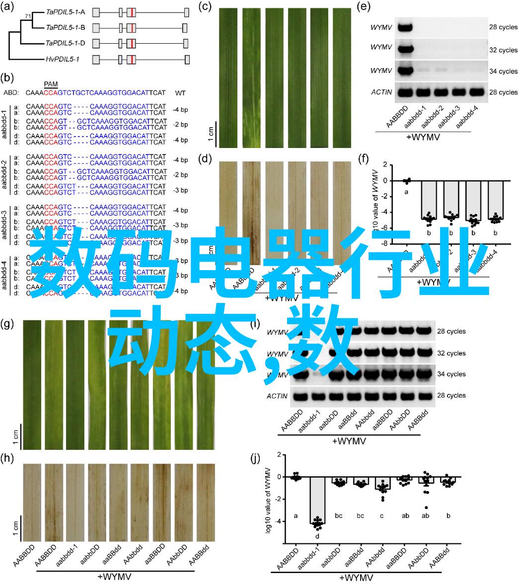 中国制造2025转型升级的新篇章