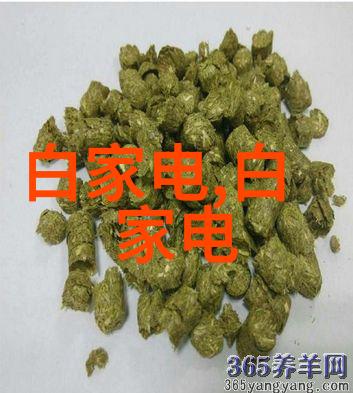 他们的世界星辰大海中的相遇与选择