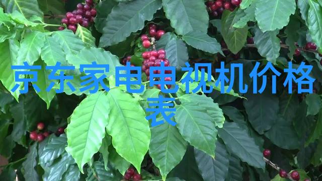 家庭生活的温馨堡垒客厅装修效果图精选