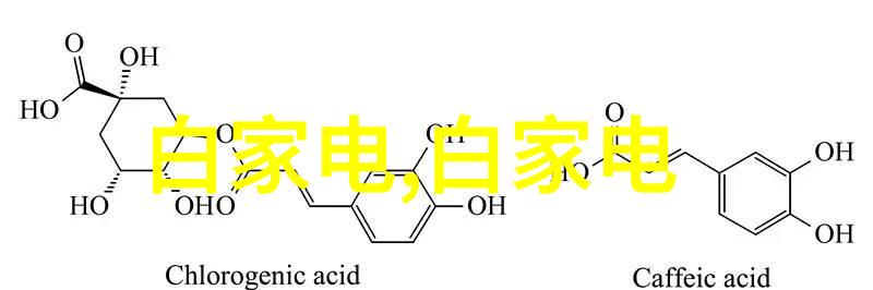 编制高效的报告一般报告格式的精髓与应用