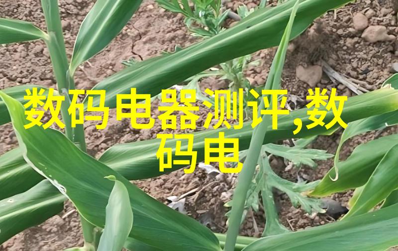 探索索尼NEX-7拍摄艺术的新篇章