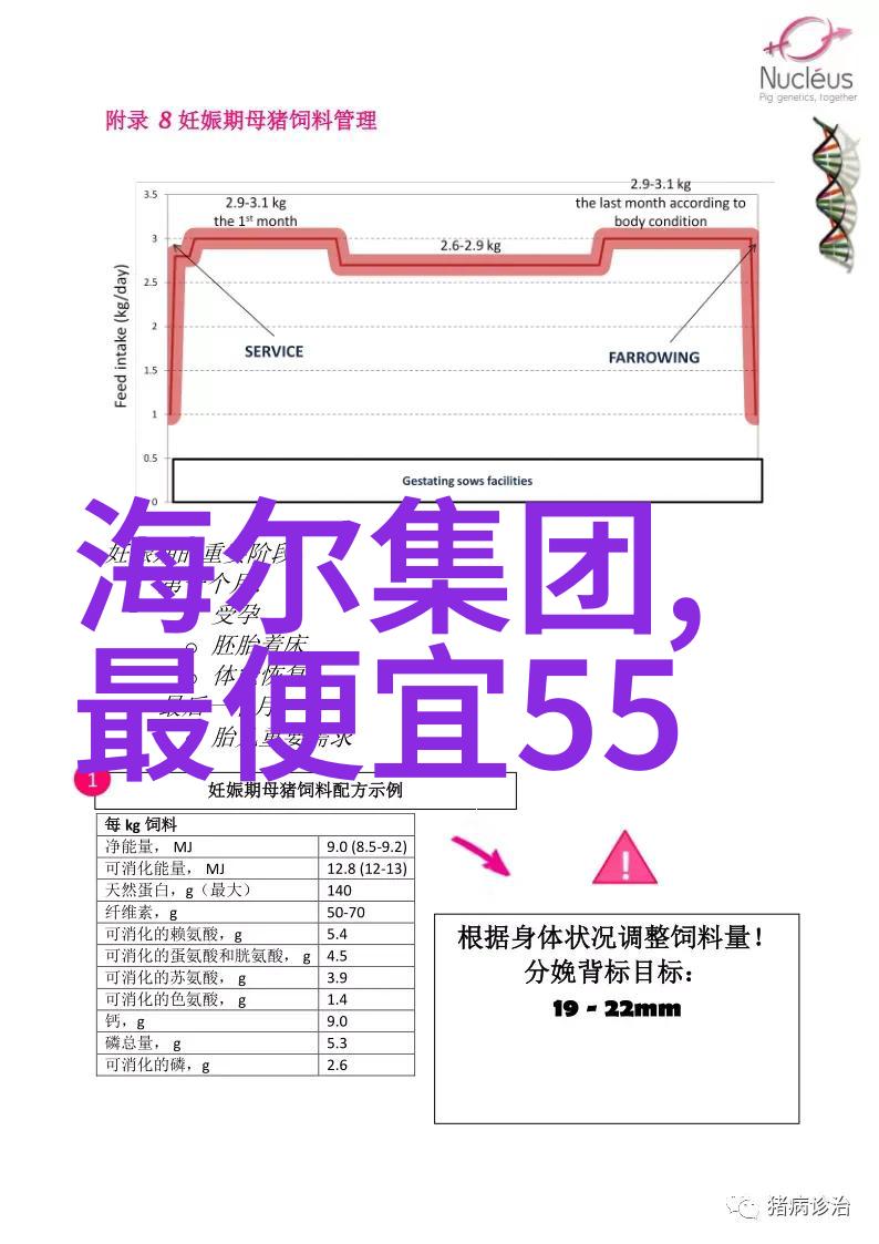 我和我的振动电机