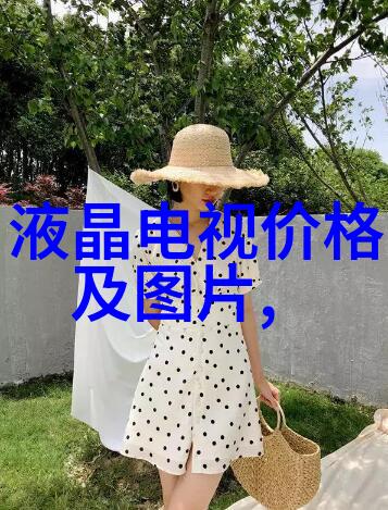 从零到英雄如何规划一个完美的户型共享厨房卫生间