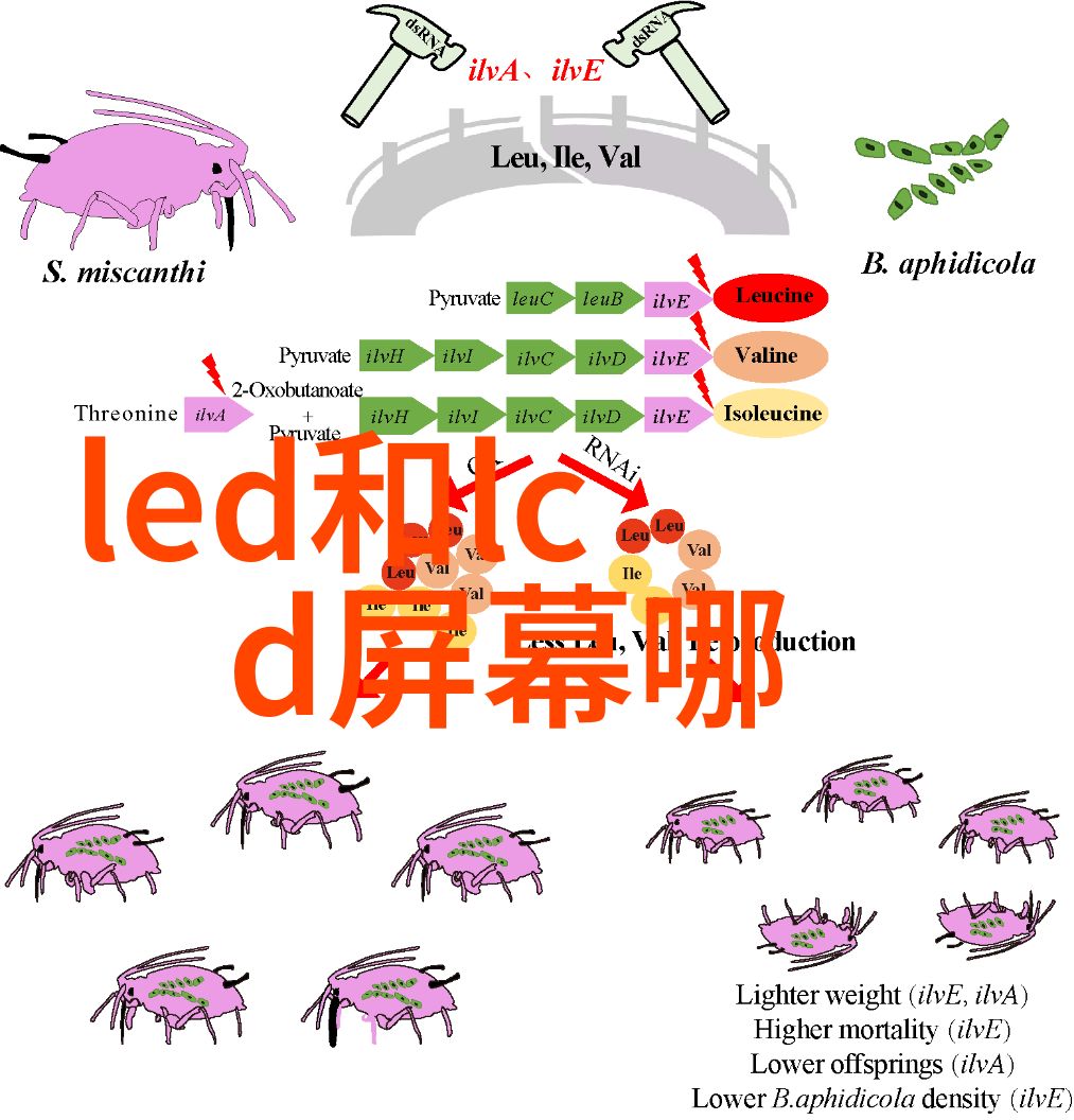 燃气蒸汽发生器的应用与优势探究