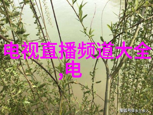 西安财经大学传承与创新之城的学府