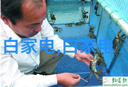 解锁生态奥秘全面的生物行为监测系统