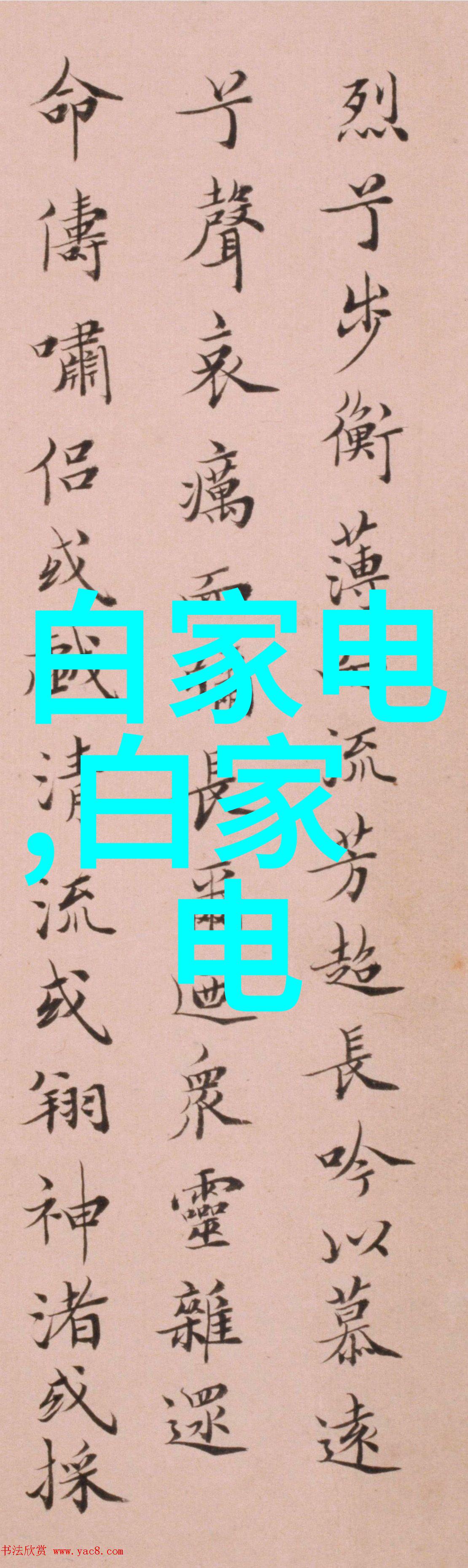 嵌入式系统设计与开发高级工程师专业知识深度项目管理能力强