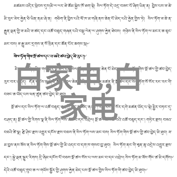 Twitter内部文件公开揭秘社交巨头的数据处理与用户隐私政策