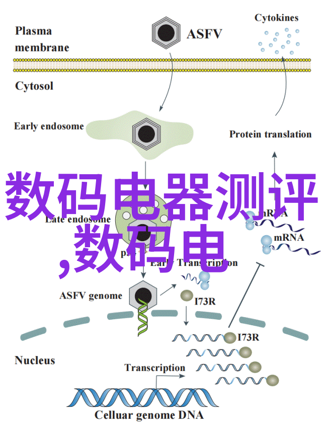 机器人时代的智慧伙伴如何与我型机器人共舞