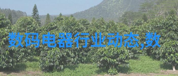 环境友好的固体燃料固定床转化装置设计探讨