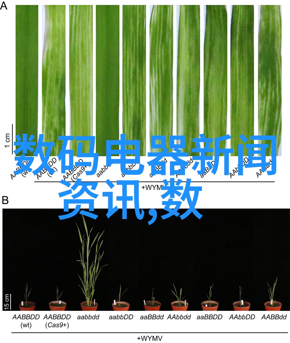 白家电-智慧生活从白家电开始