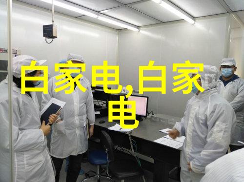 项目可行性报告范文模板我的项目计划书大作业