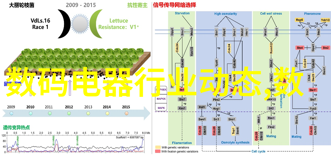 探索中国摄影官方网站展现中华视觉艺术的窗口