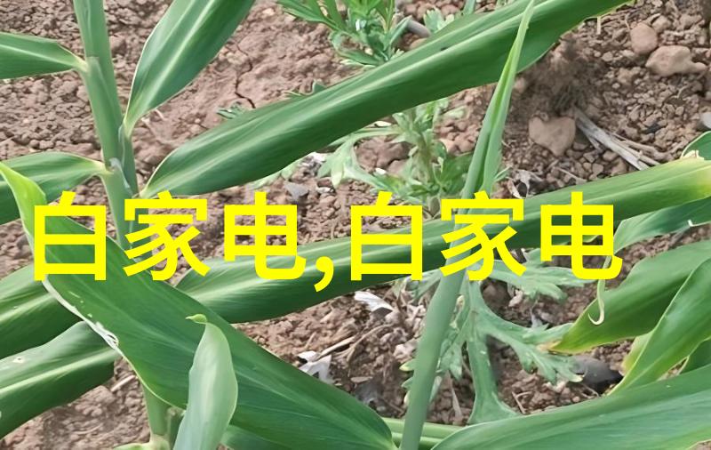 案由调查深入剖析每一宗案件的真相