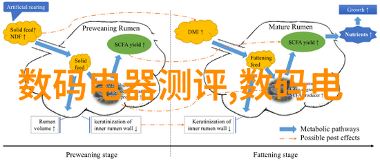 黑幕下的巨屏沉默的证人