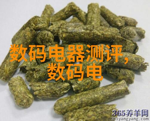 市场营销-提升品牌影响力与销售业绩的艺术与科学