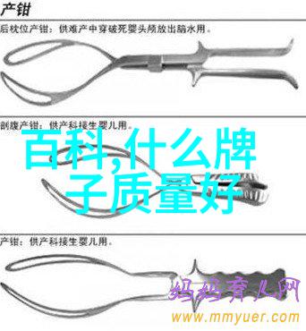 在虚拟的数字领域中究竟隐藏着怎样的秘密故事等待着勇敢的探索者去揭开