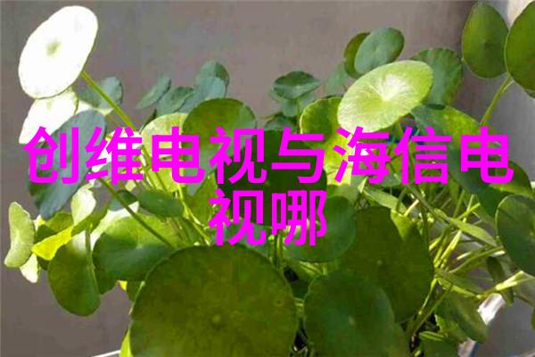 江苏财经职业技术学院研究创新与实践的融合