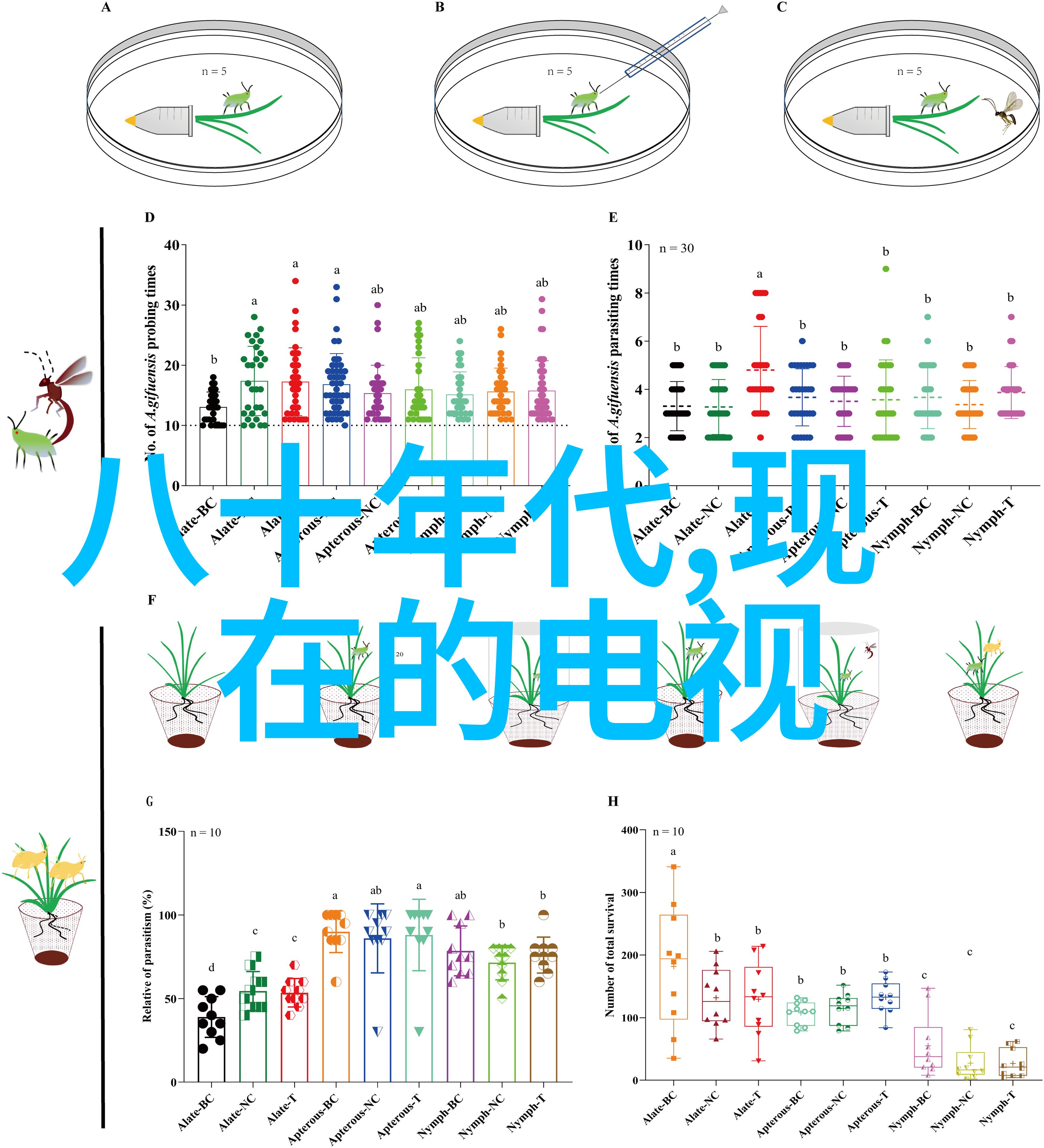 影视后期我是如何用剪刀手成为一名剪辑高手的