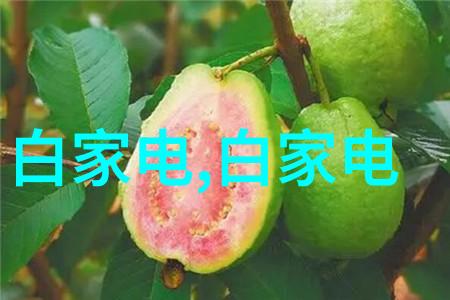 食品微波杀菌技术革新安全与效率并进的未来解决方案