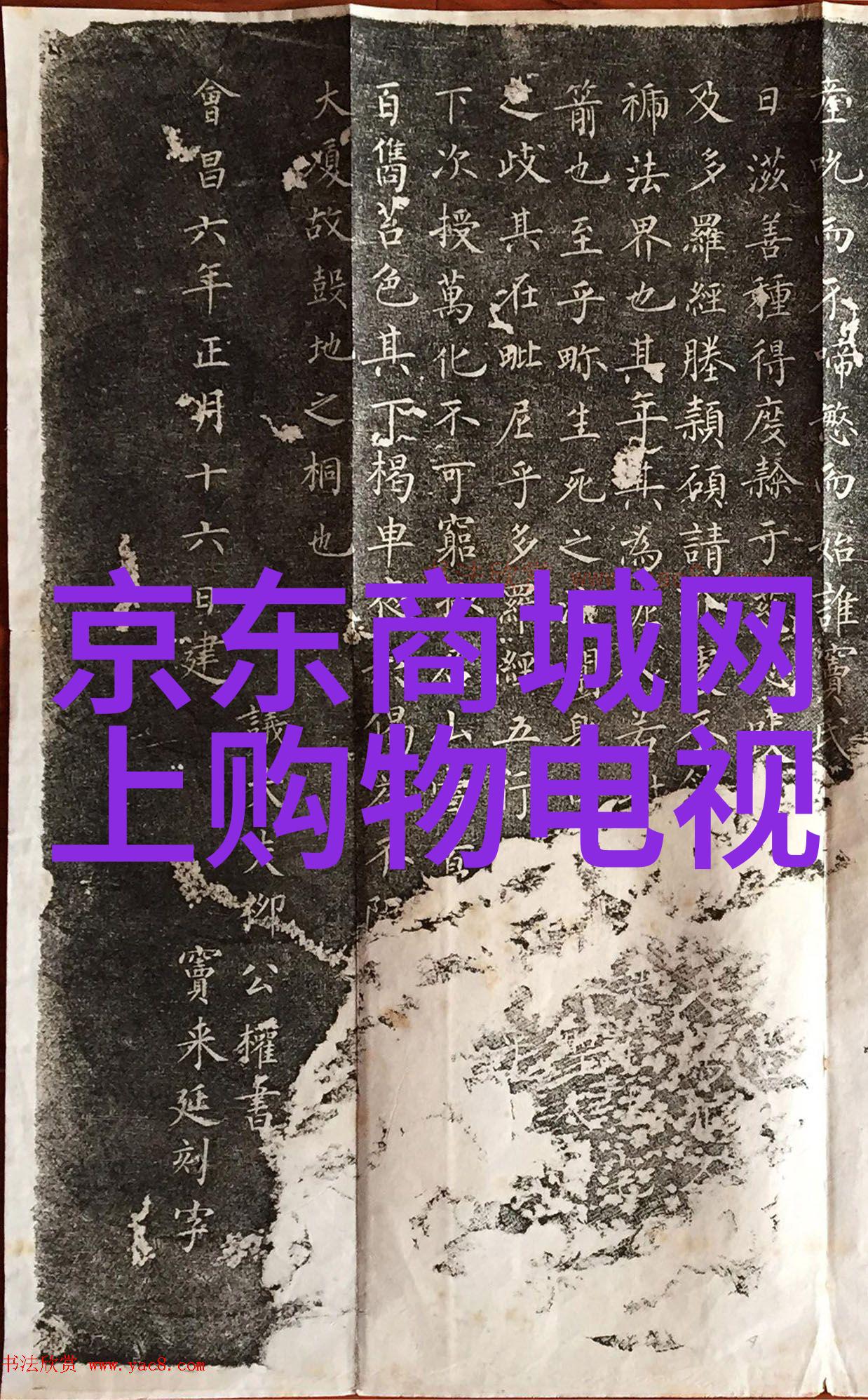 环填料的规整之道环形填充材料的有序应用