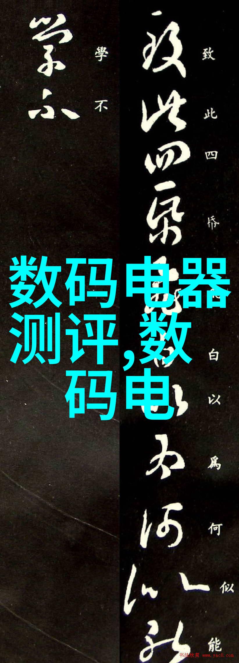 中秋佳节里的栀子传统与现代融合的节日礼物选择