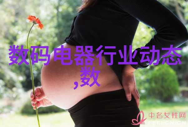 海思 HI3519ARFCV100 主控芯片送男朋友什么花最好让它如同这颗精湛的芯片一般温暖而又强大