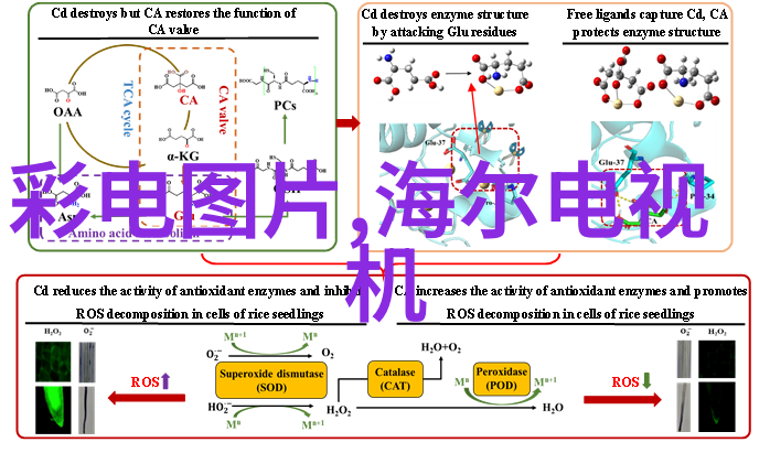 零部件百度百科-零部件分类与应用指南