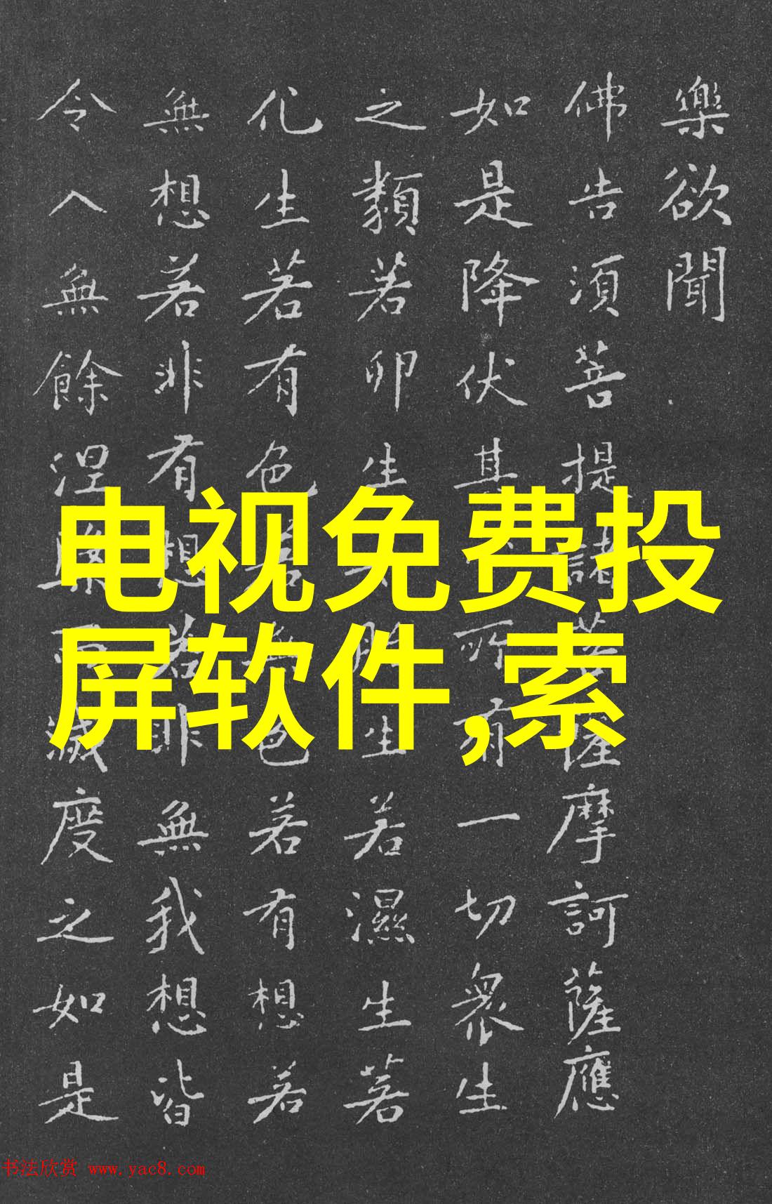 魅族新品发布会我眼中的科技奇迹大揭秘让你爱不释手的智能生活新篇章