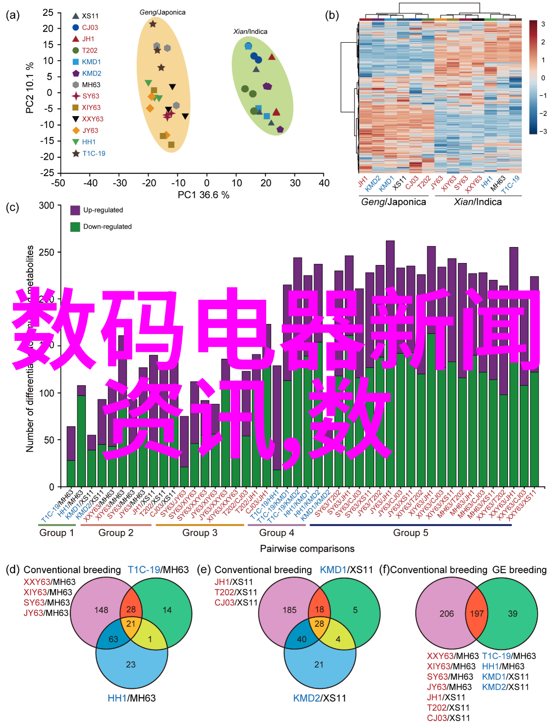 厨房小阳台的温馨角落创意装修指南