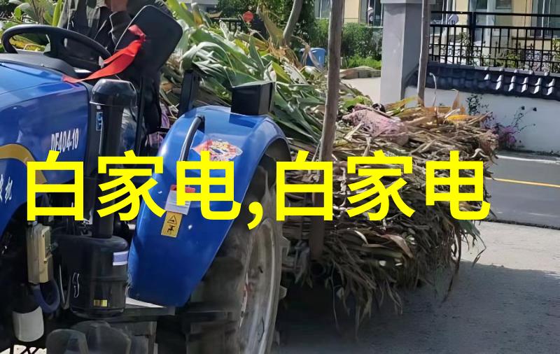 八仙饭店之天诛地灭我亲历的那场风雨大餐八仙饭店的末日