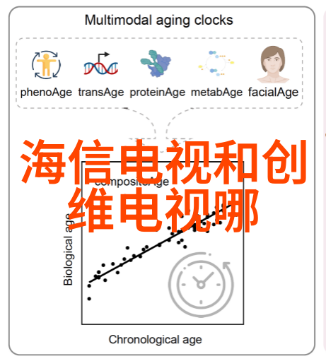 普通硅酸盐水泥的应用与优势探究