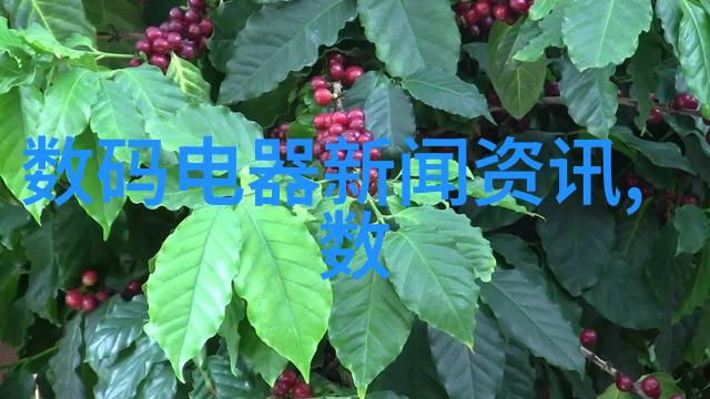 客厅装修-沉稳奢华探索最佳客厅颜色搭配