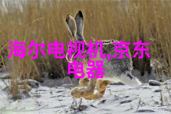 药品外包装机械自动化革新与安全标准的双重驱动