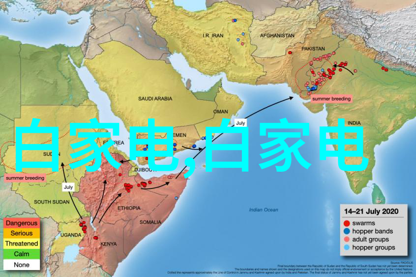 中国三大存储芯片公司长江存儲科技联电存储技术中芯国际