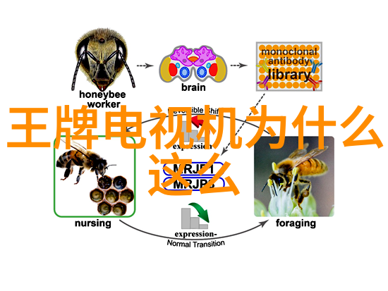 卧龙生武侠小说全集下载经典武侠小说丰富情节精彩人物