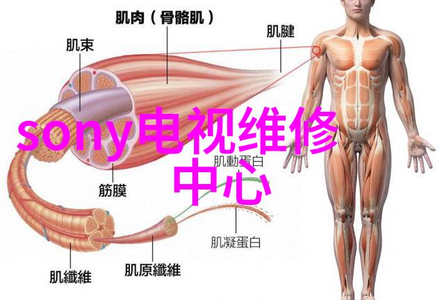 药用植物之精华巨型提取机的奇迹