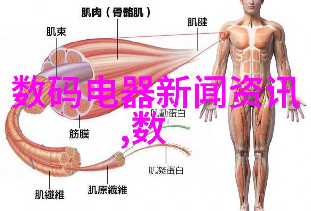 镜头下的对比揭秘摄影世界杂志电子版的视觉冲击