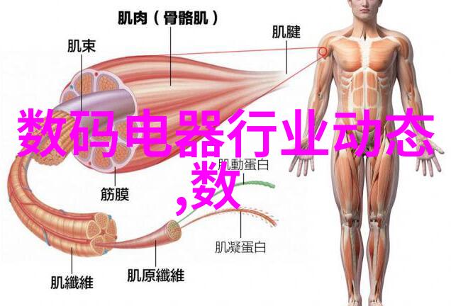 绽放爱的瞬间婚礼跟拍之美妙旅程