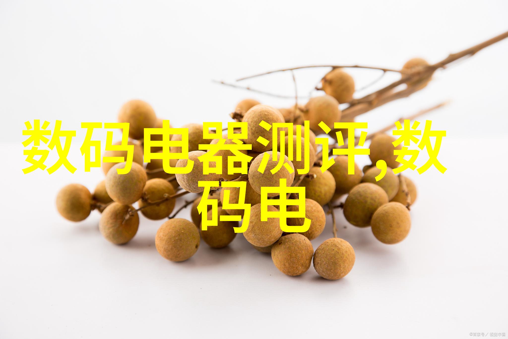 市场监督管理局App背后的神秘算法能否确保每一笔交易的公平性