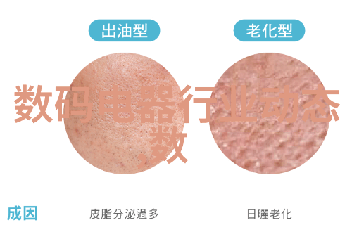 镜头下的艺术专业拍摄技巧与创意展开